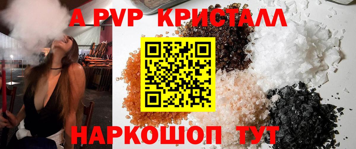 A PVP СК Воронеж