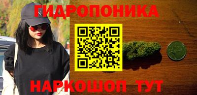 Альфа ПВП Лесосибирск