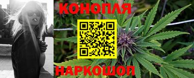Альфа ПВП Лесосибирск