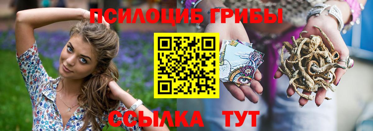Псилоцибиновые грибы мухоморы  Вход с VPN  Воронеж  Псилоцибиновые грибы Cubensis 