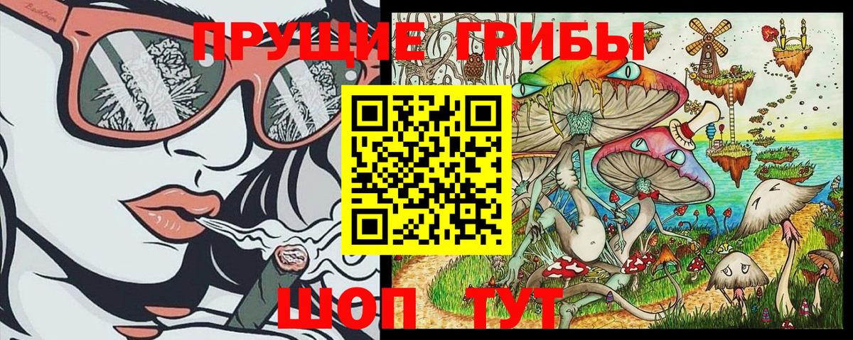 Галлюциногенные грибы Psilocybe Воронеж